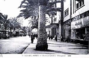 SIDI-BEL-ABBES - AVENUE DU GENERAL WEYGAND - 1942